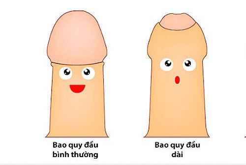 hinh-anh-bao-quy-dau-binh-thuong-va-bao-quy-dau-bi-dai
