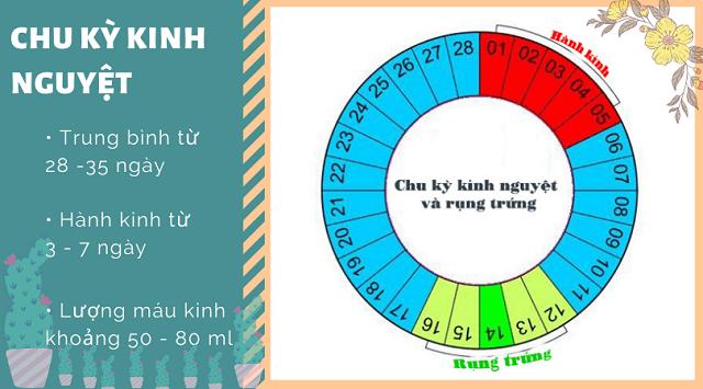 tư thế quan hệ dễ có thai