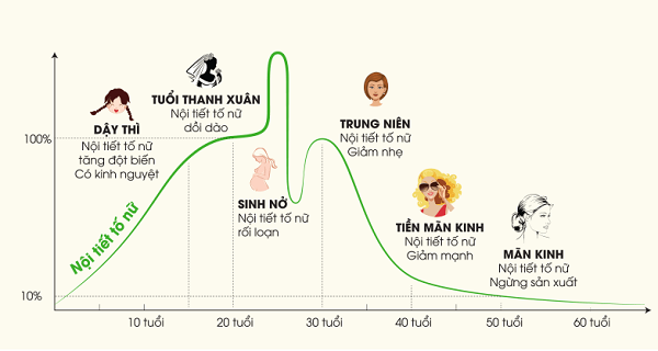 suy-giam-noi-tiet-to-estrogen-la-nguyen-nhan-hang-dau-khien-nu-gioi-bi-kho-han