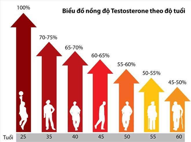 bieu-do-nong-do-testosterone-theo-do-tuoi